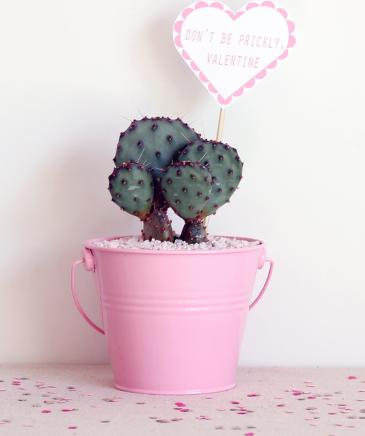 Valentine Planter DIY