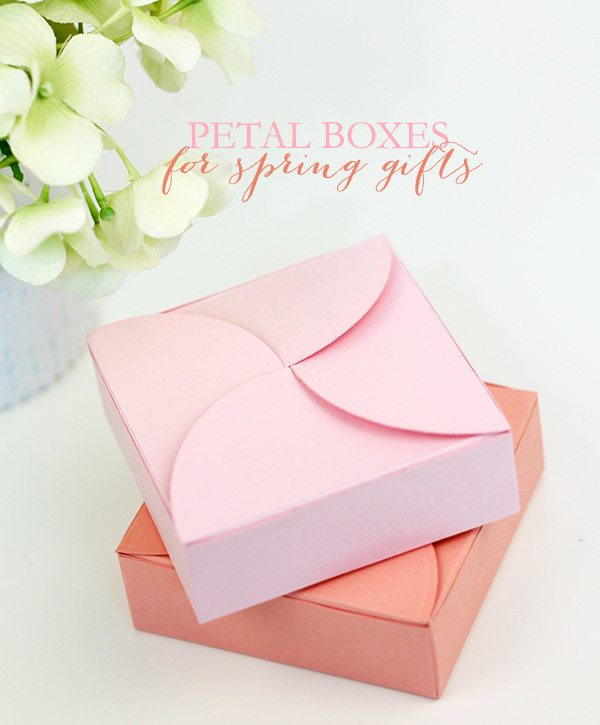 Pretty Petal Boxes